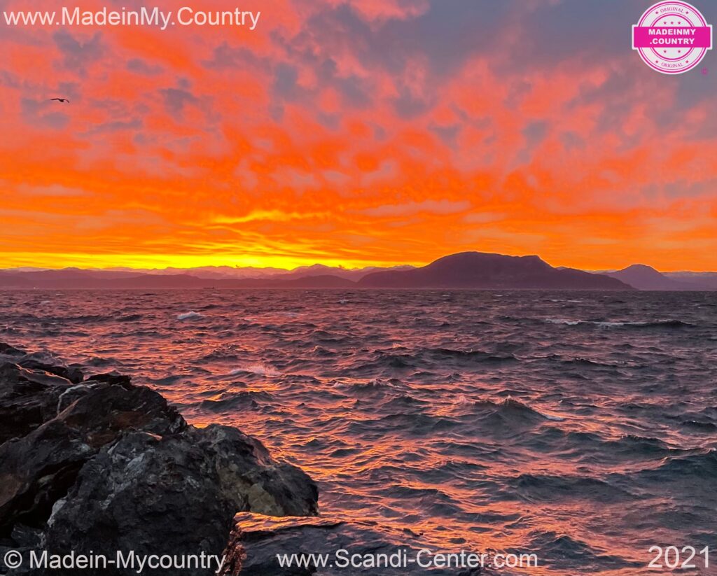 MadeinMycountry Scandinavia MadeinMycountry is a global platform that celebrates and supports local history, culture, art and nature conservation efforts.